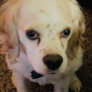 Meet your Posher, Christine